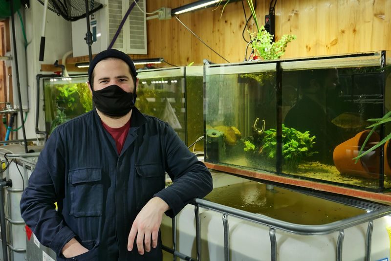 Microgreens – Winziges Gemüse vom Stadt-Dschungel auf den Salatteller