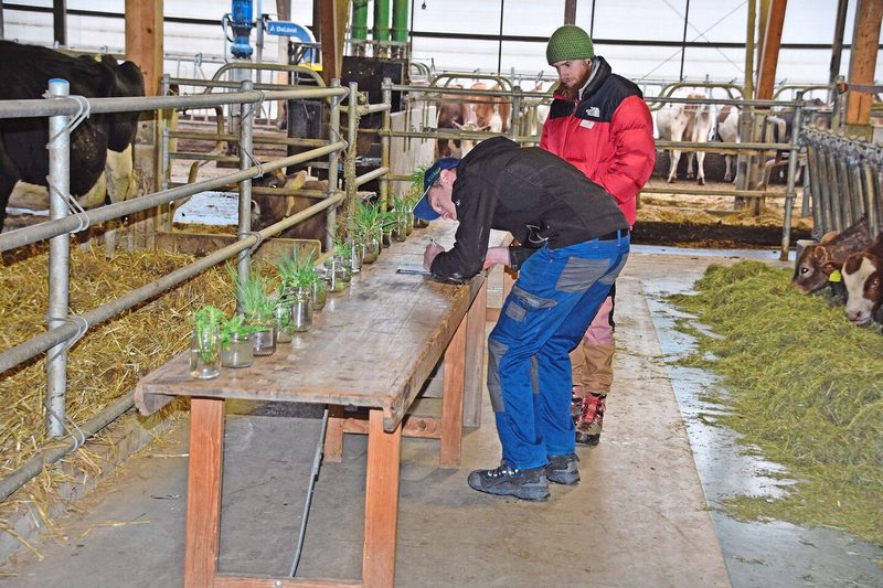 An einem weiteren Posten wurden die Pflanzenkenntnisse der angehenden Landwirtinnen und Landwirte geprüft.