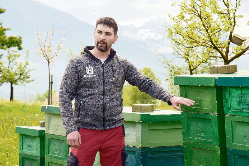 Armin Betschart zeigte seine Bienenkästen.