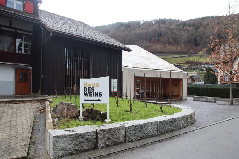 Weinbauern fordern Nachbesserungen beim Projekt Nachhaltiger Weinbau Schweiz