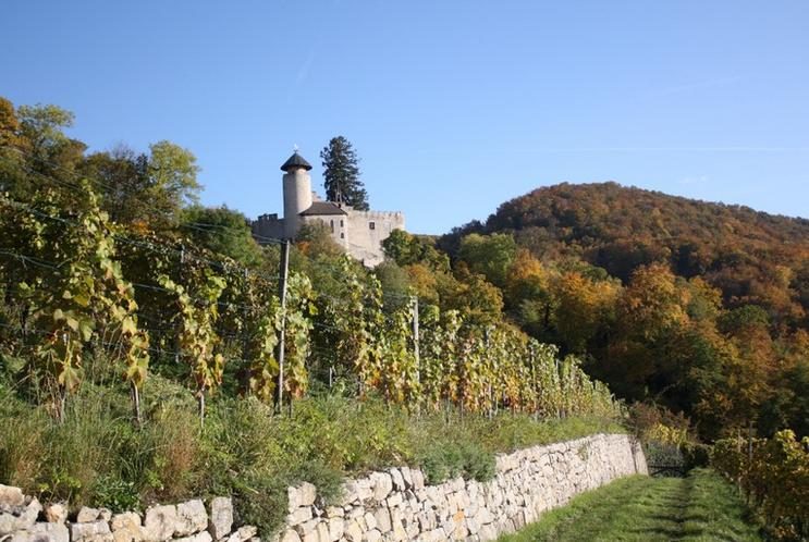 Schweizer Weinbranche: Von der Corona-Krise tief getroffen und verändert