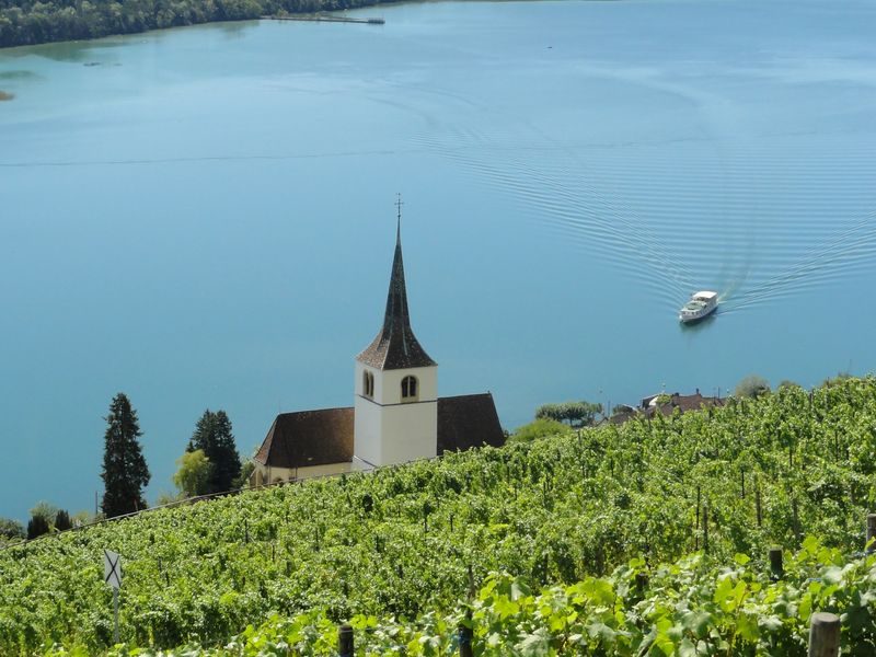 Schweizer Weinbranche: Von der Corona-Krise tief getroffen und verändert