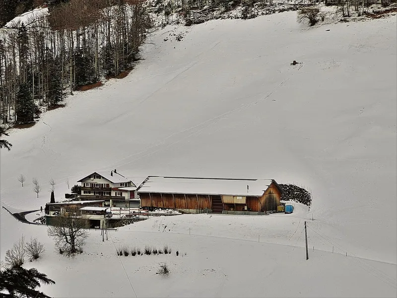 Das Wohnhaus und der Stall auf dem steilen Bergheimet Obergadmen wurden in den vergangenen Jahren beide neu erstellt.