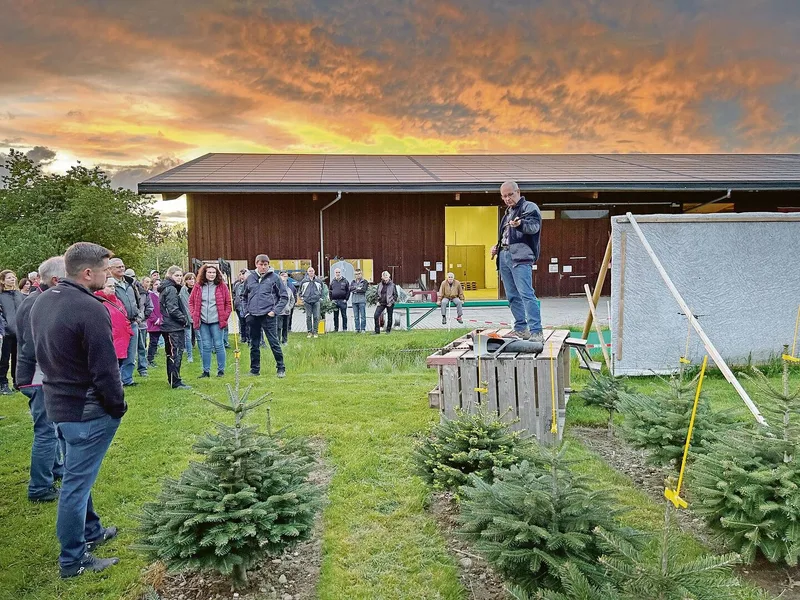 Urs Ogg, rechts auf dem Podest stehend, weihte die Teilnehmerinnen und Teilnehmer in die Christbaumproduktion ein.
