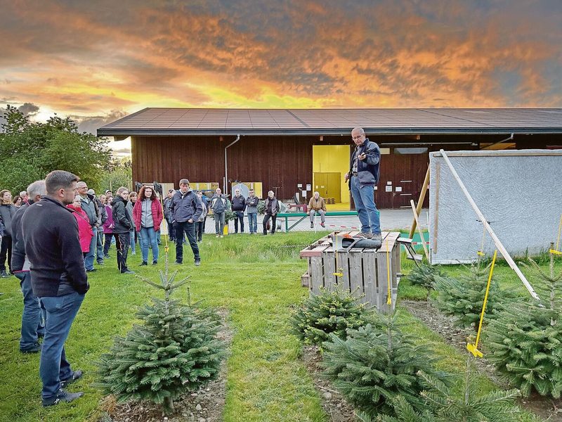 Urs Ogg, rechts auf dem Podest stehend, weihte die Teilnehmerinnen und Teilnehmer in die Christbaumproduktion ein.