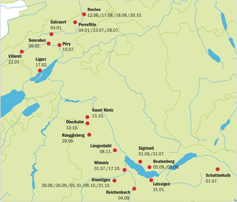 Schäfeler fühlen sich von Allen im Stich gelassen