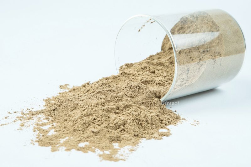 Insektenfarm-Start-up erweitert seine Gesamtfinanzierung zur Verbesserung der globalen Lebensmittelsicherheit