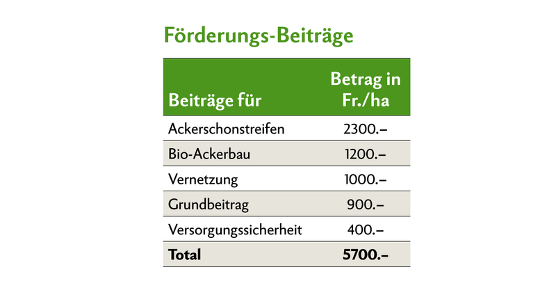 Förderungs-Beiträge Erbsen-Anbau Schweiz