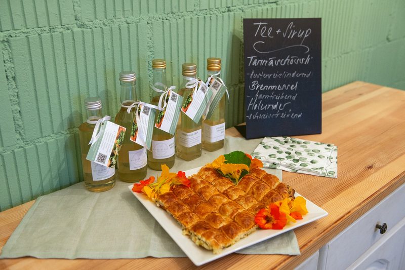 Tannenschössli und Brennnessel