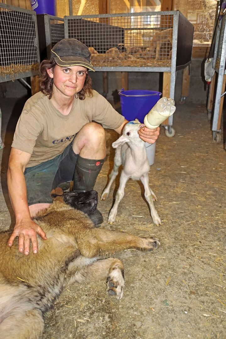 Landwirtin Johanna Huber ist für die Lämmer zuständig.