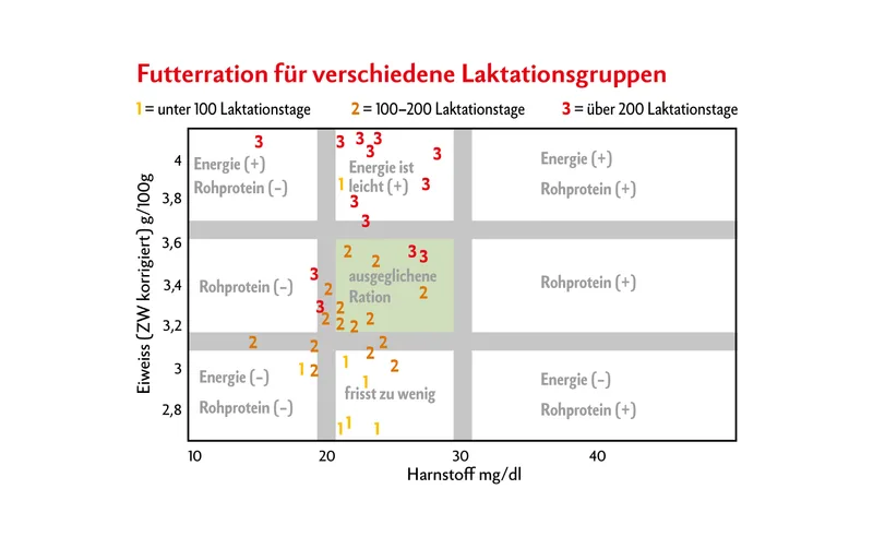 9-Eck, wie es auch in der Milchleistungsprüfung ausgewiesen wird, zeigt Verteilung der Milchkühe zwischen Eiweissgehalt und Harnstoff.