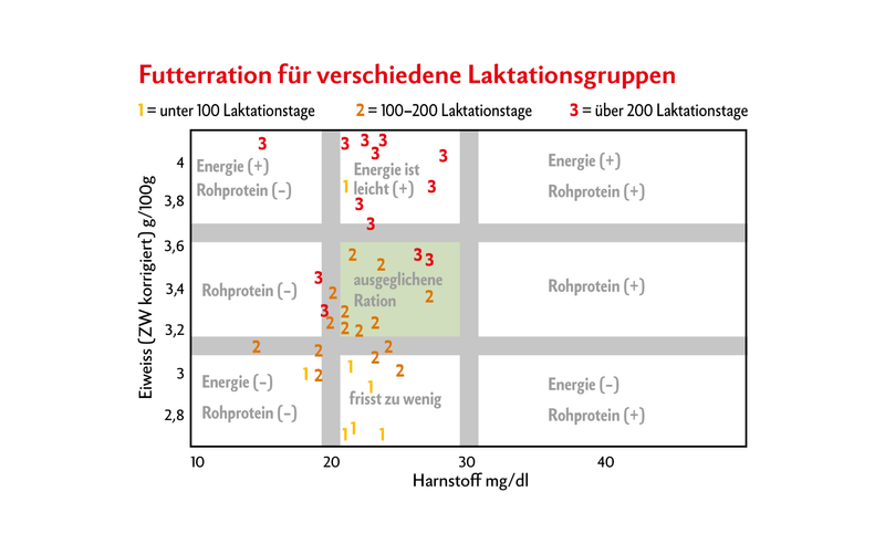9-Eck, wie es auch in der Milchleistungsprüfung ausgewiesen wird, zeigt Verteilung der Milchkühe zwischen Eiweissgehalt und Harnstoff.