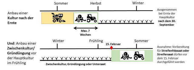 So können Sie von den Beiträgen für angemessene Bedeckung und schonende Bodenbearbeitung profitieren