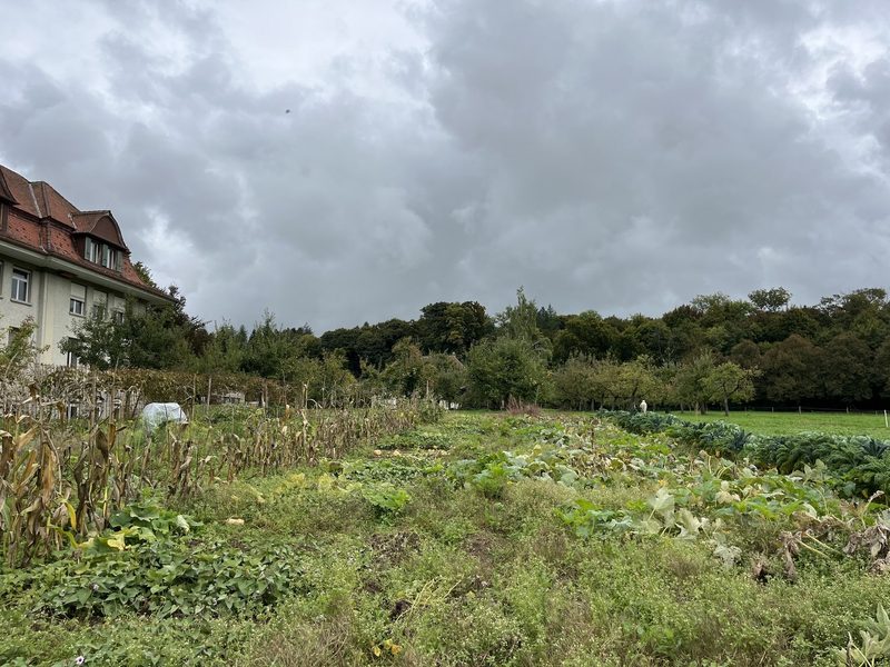 Urs Siegenthaler zeigt, wie Landwirtschaft im Gemeinschaftsgarten funktioniert
