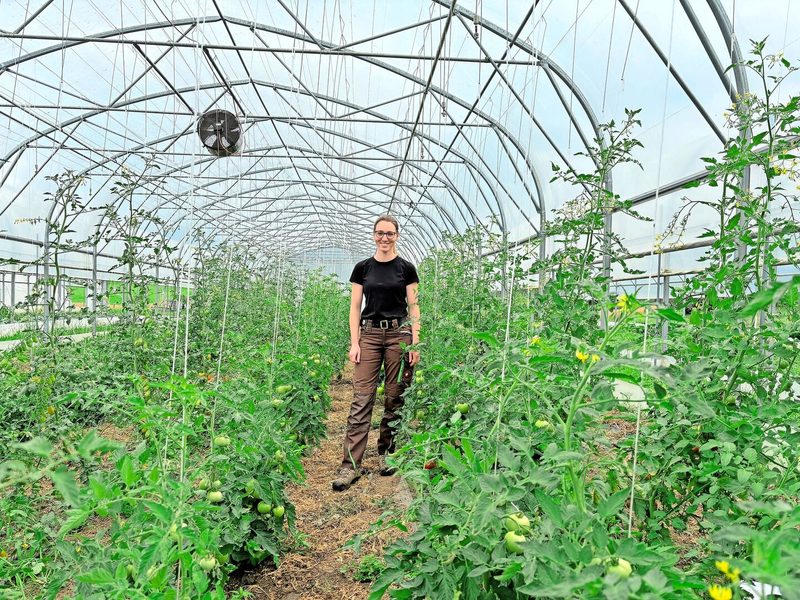 Neben dem Ackerbau und der Milchproduktion werden auf dem Bauernhof Klötzli diverse Gemüsesorten angebaut.