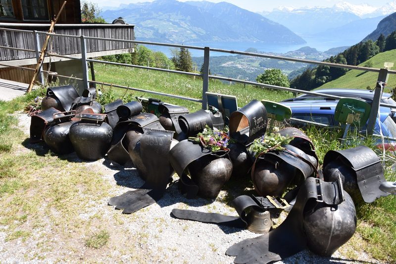 Ein Leben auf dem Berg: Der Alpaufzug in Reutigen ging unter die Haut