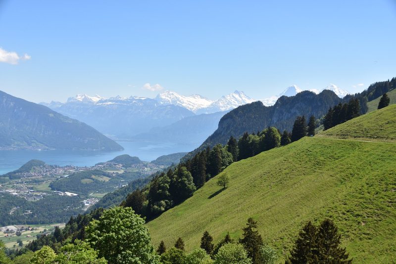 Ein Leben auf dem Berg: Der Alpaufzug in Reutigen ging unter die Haut