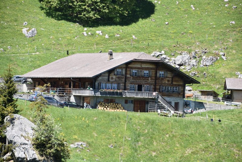 Ein Leben auf dem Berg: Der Alpaufzug in Reutigen ging unter die Haut