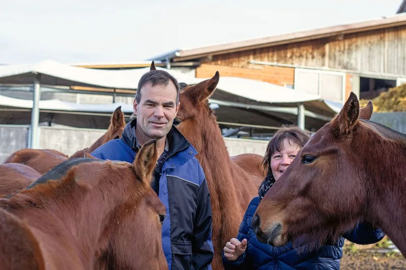 Christina und Bernhard Wüthrich mit ihrer Freibergeraufzucht. Im Hintergrund sieht man die gedeckte Führanlage.