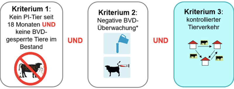 Wer BVD-frei sein will, muss seinen Tierverkehr kontrollieren