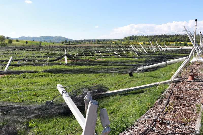 Unwetter zerstört neue Obstanlage im Aargau