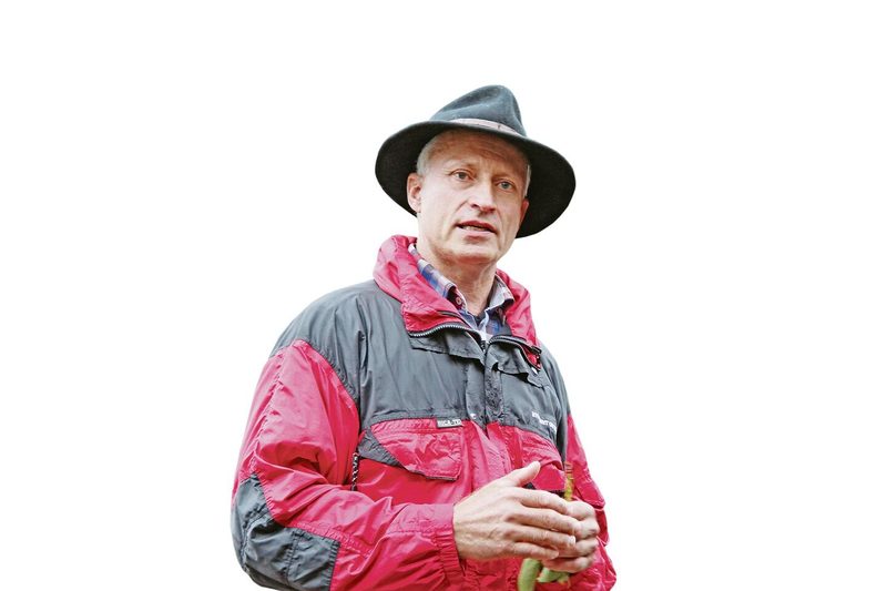 Der Wolf sorgt neu auch im Baselbiet für Ärger