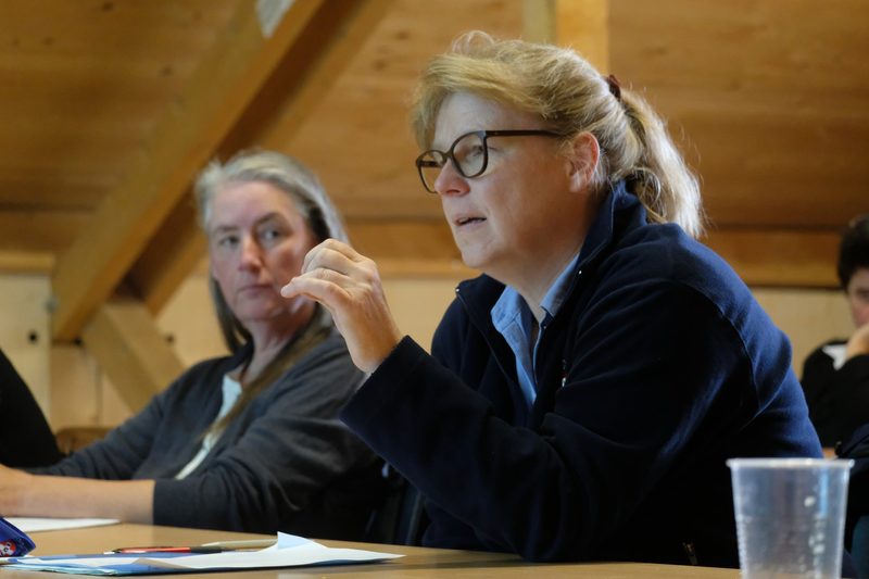 Dem Pferd fehlt der Platz in der Landwirtschaftspolitik