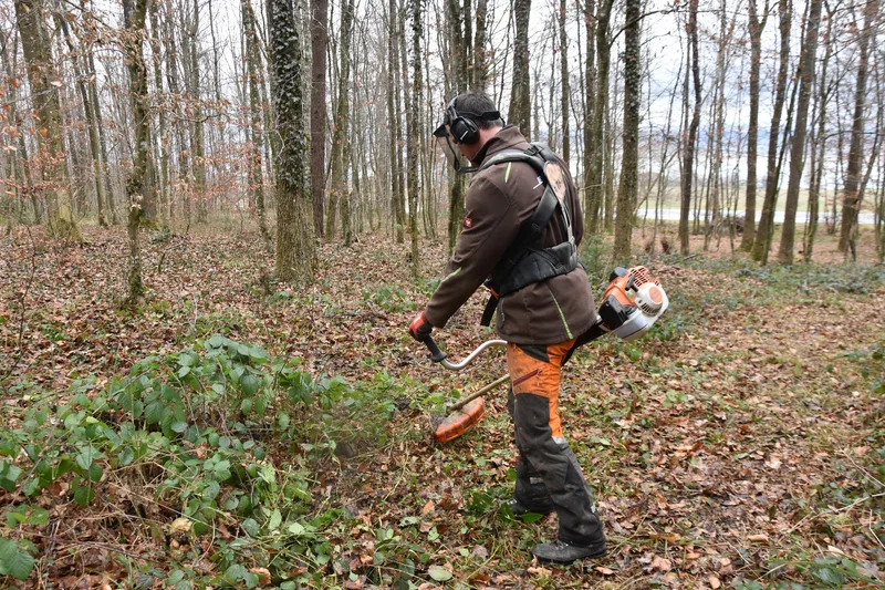 Hier ruhen die Toten: «Ein ‹Friedwald› ist die Alternative zum herkömmlichen Wald»