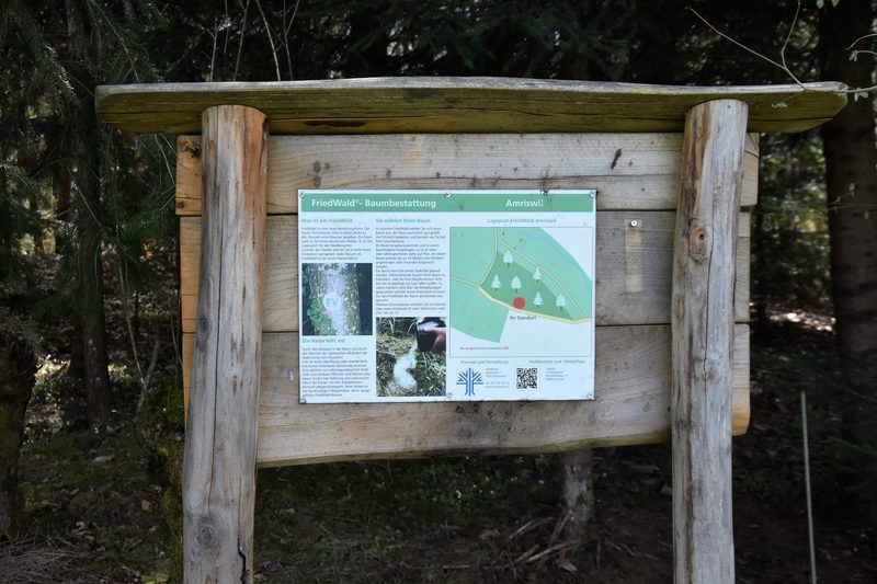 Hier ruhen die Toten: «Ein ‹Friedwald› ist die Alternative zum herkömmlichen Wald»