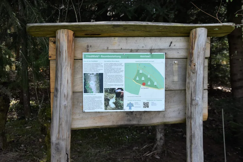 Hier ruhen die Toten: «Ein ‹Friedwald› ist die Alternative zum herkömmlichen Wald»