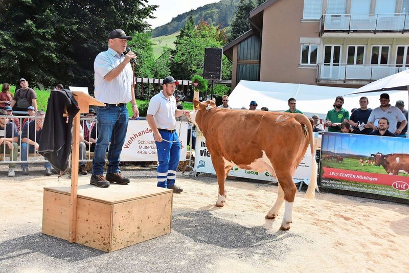 Die Simmentalerkuh Veru Akaley von Christoph Gerber, Langenbruck, konnte für 4050 Franken zugeschlagen werden.