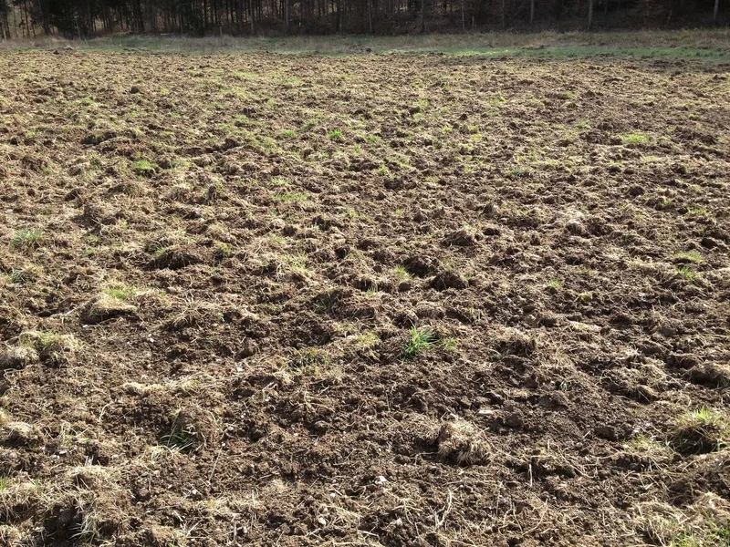 Braun ist gut, die Bodenbearbeitung bringt einjährige Arten zum Keimen.