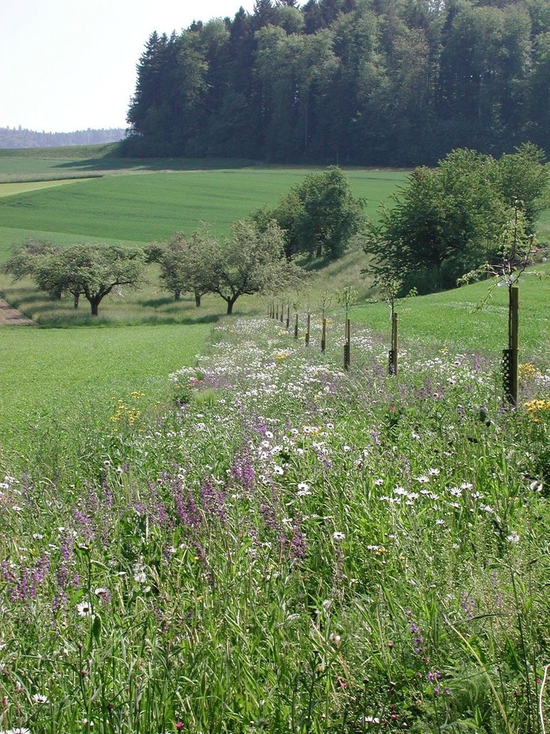 Kostenlose Beratung für Biodiversität im Einklang mit Produktion
