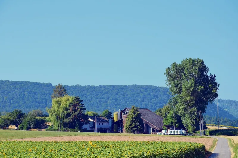 Der Hof umfasst 28 ha landwirtschaftliche Nutzfläche. Im Hintergrund sieht man das Ökonomie- und die Wohngebäude. Die Wohnung des jungen Paares und der Eltern stehen sehr nahe beieinander.