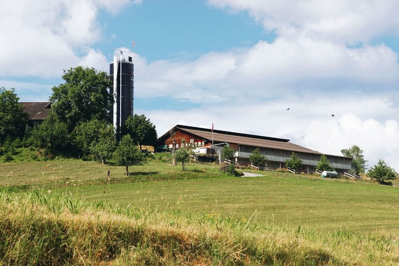 2009 wurde der neue Laufstall gebaut. Ab nächstem Jahr übernimmt Stefan Lüscher die alleinige Betriebsleitung.