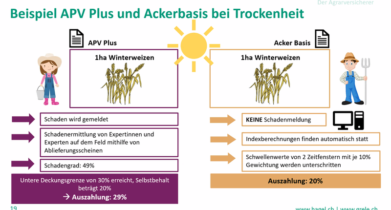 Neue Versicherung gegen Trockenheit ohne Schadensschätzung