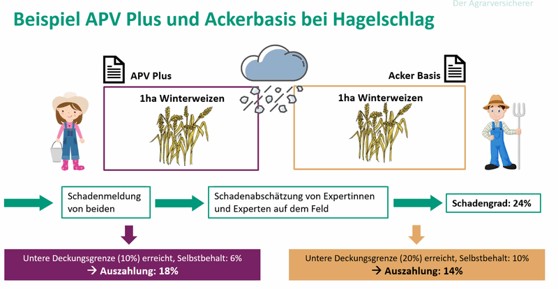 Neue Versicherung gegen Trockenheit ohne Schadensschätzung