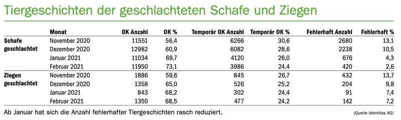 Schafe und Ziegen in der TVD richtig erfassen, um Bussen zu vermeiden