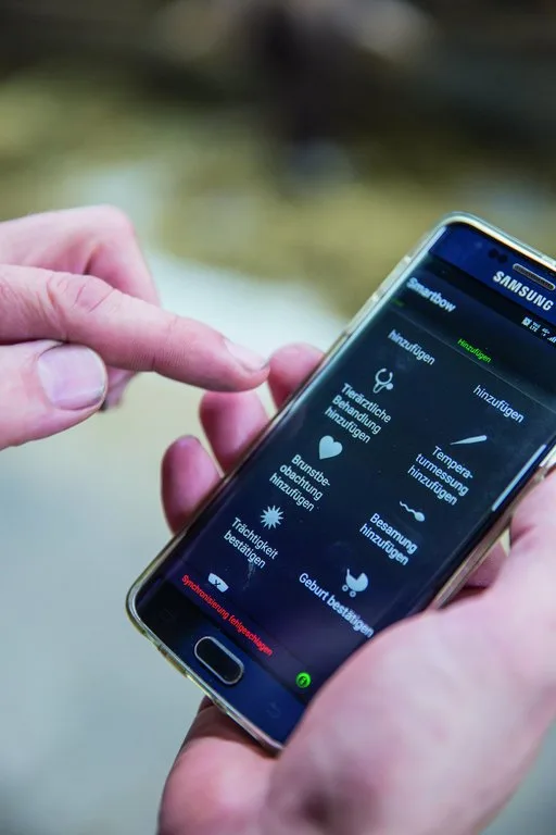 Bildschirm eines Smartphones, auf dem eine App zur Brunstüberwachung geöffnet ist.