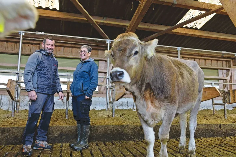 Sepp und Martina Lehner haben im Jahr 2000 einen Stall gebaut, der sich bis heute bewährt hat.