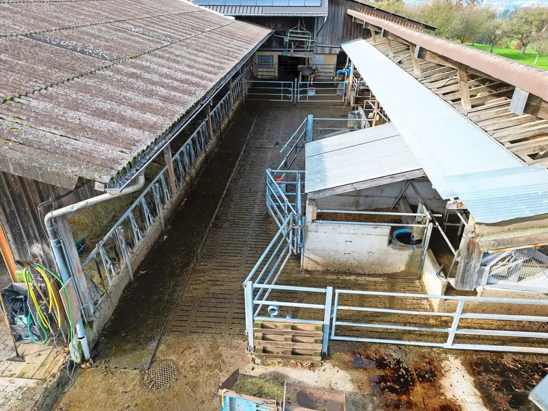 Der Laufhof wurde bereits beim Bau des Milchviehstalls integriert und ist bis heute konform.