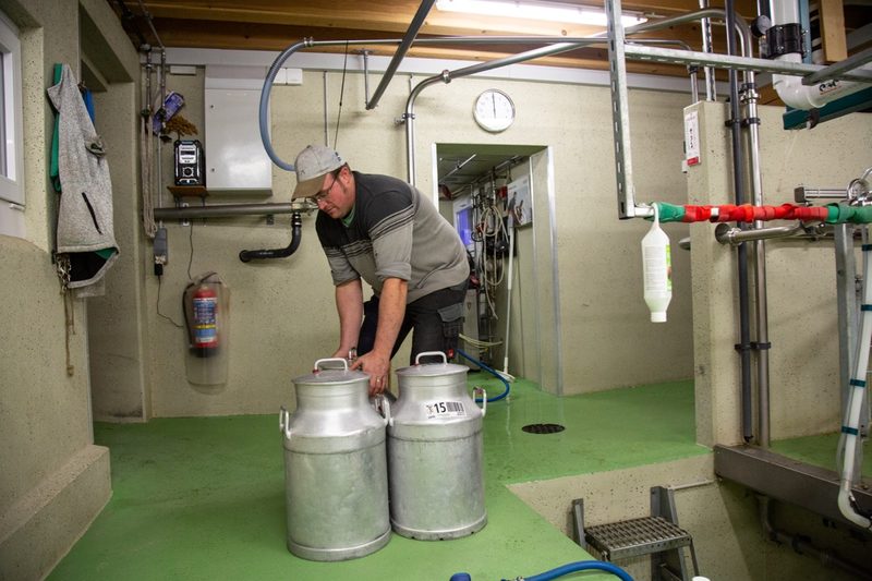 David Genoud bringt die Schafmilch zur Moléson SA. Bild: Pia Neuenschwander