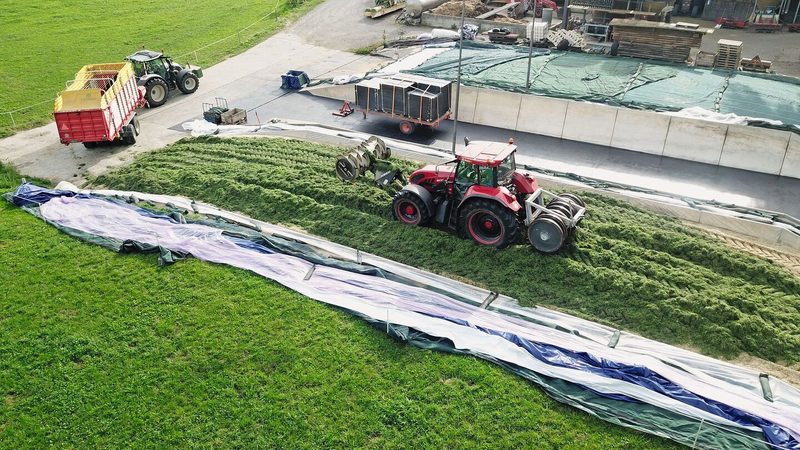 «Tagebuch»: Auf der Stöckweid wird gesät und weiterhin geerntet