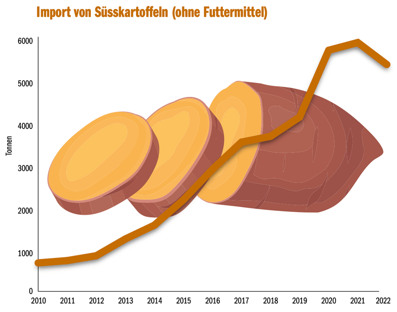 «Bei der Inlandproduktion ist momentan keine markante Steigerung mehr möglich»
