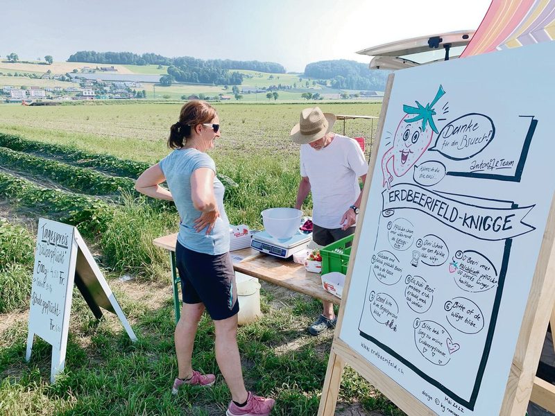 Auf einem Selbstpflückfeld braucht es Regeln und auch eine personelle Kontrolle, so zum Wägen und Zahlen.
