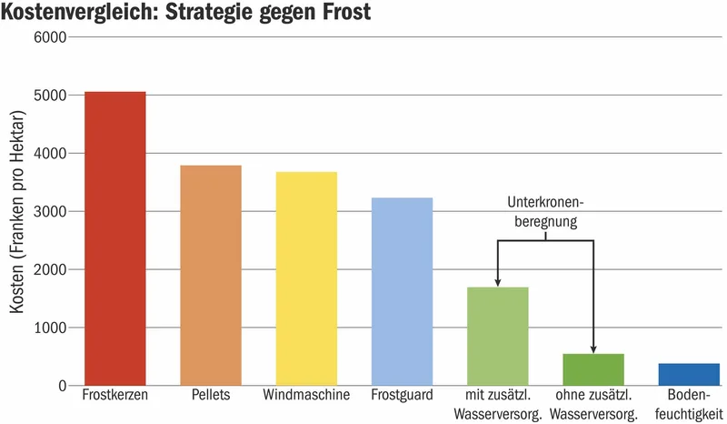 Die Unterkronenberegnung bietet den effektivsten Schutz gegen Frost