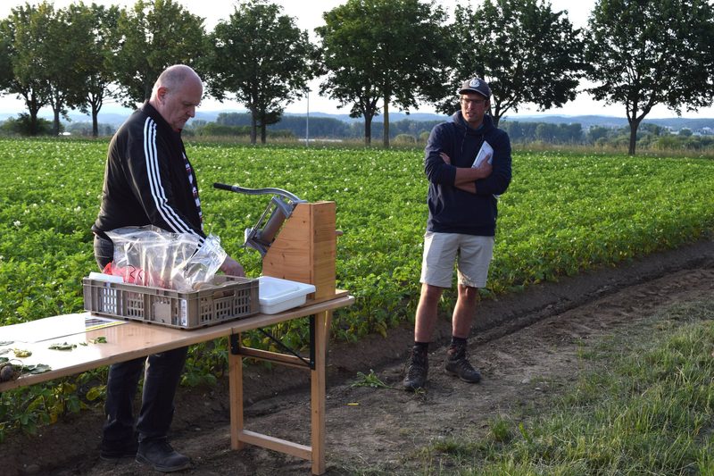 Trotz miesem Wetter Lichtblicke im Ackerbau