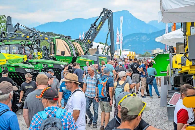 Gute Holznachfrage – mässige Preise
