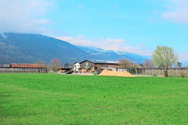 Der Demeter-Betrieb der Familie Kuppelwieser umfasst 17 Hektaren. Die Obstplantage befindet sich hinter dem Hof.