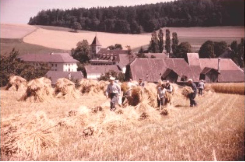 Alters und Pflegeheim Frienisberg: Wie früher gebauert wurde